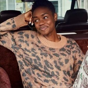 Aerie Cheetah Knit Oversized Sweater Medium